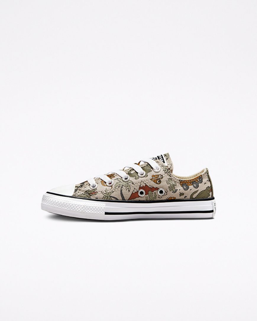 Boys' Converse Chuck Taylor All Star Desert Explorer Low Top Shoes Beige | AU 3C814H